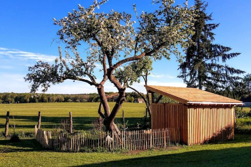Ferienwohnung Alte Schule Chorin Schorfheide Екстериор снимка